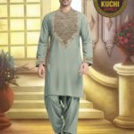 Pashton Tarditional Trending Embroidery Stitched Dress